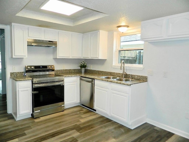 kitchen with white cabinetry, appliances with stainless steel finishes, dark hardwood / wood-style floors, a raised ceiling, and sink