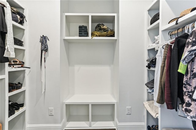 view of spacious closet