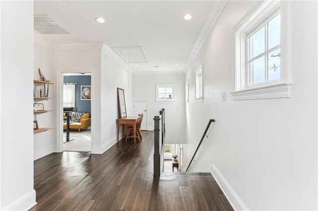 corridor featuring dark hardwood / wood-style flooring and ornamental molding