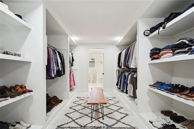 view of spacious closet