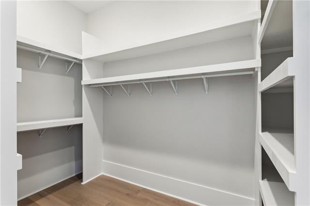 spacious closet with dark hardwood / wood-style floors