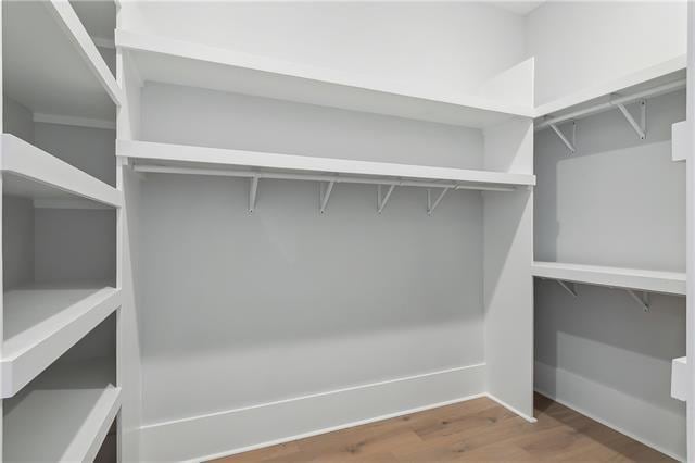 spacious closet with wood-type flooring