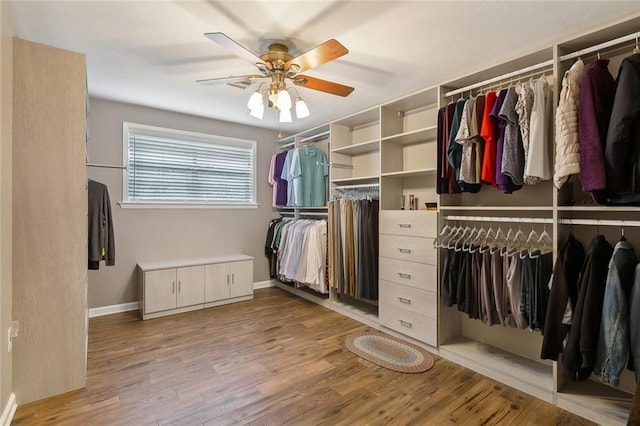 spacious closet with ceiling fan and light hardwood / wood-style flooring