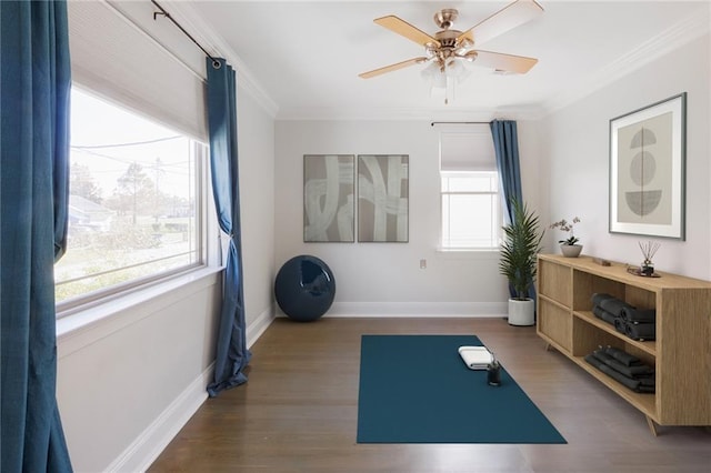 exercise room featuring ceiling fan, dark hardwood / wood-style flooring, and ornamental molding