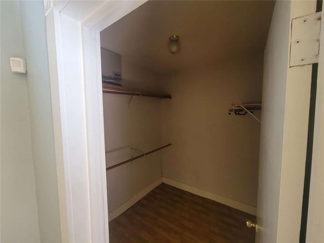 spacious closet with dark hardwood / wood-style floors