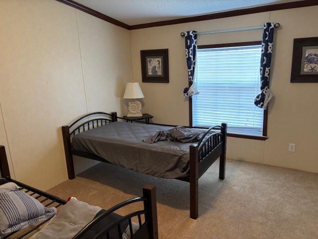 169 Pump Station Rd, Venice, LA 70091 - carpeted bedroom with crown molding