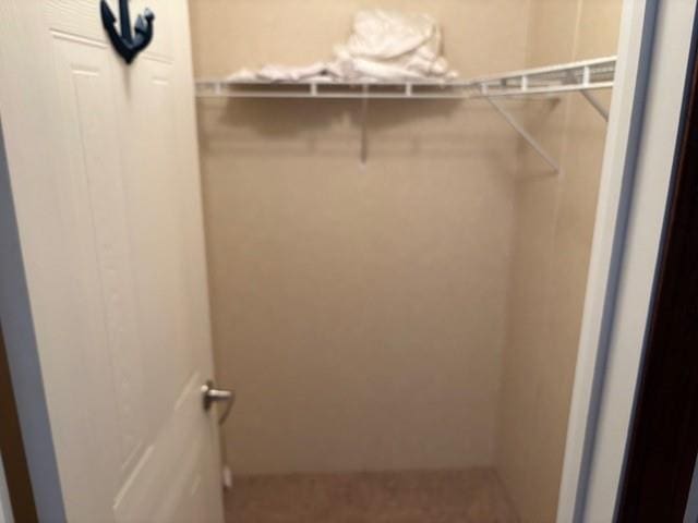 169 Pump Station Rd, Venice, LA 70091 - view of spacious closet