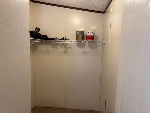 169 Pump Station Rd, Venice, LA 70091 - view of spacious closet