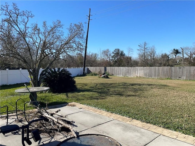 view of yard featuring a patio