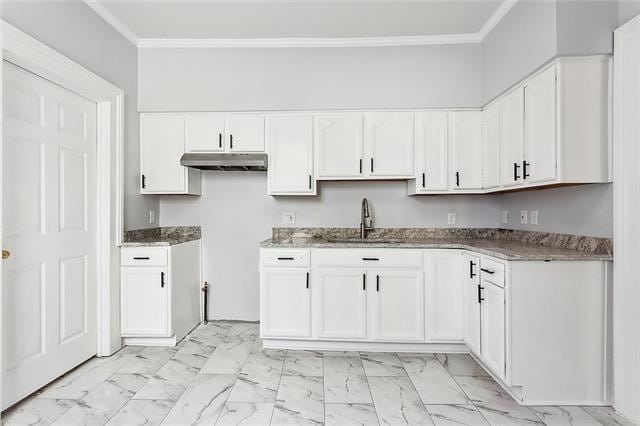 kitchen featuring ornamental molding, white cabinets, and sink