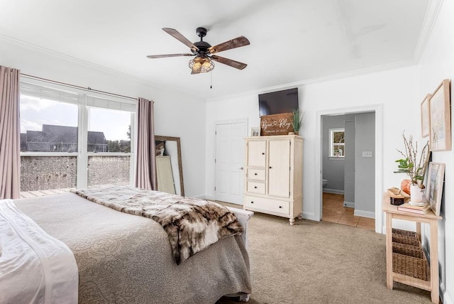 carpeted bedroom featuring crown molding, ceiling fan, ensuite bath, and multiple windows