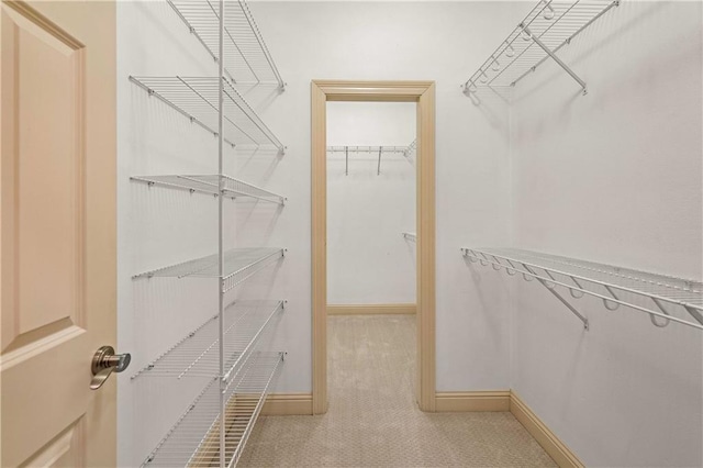 walk in closet featuring carpet