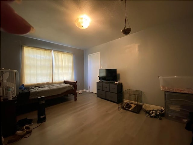 bedroom featuring wood-type flooring