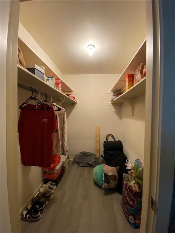 walk in closet featuring hardwood / wood-style flooring