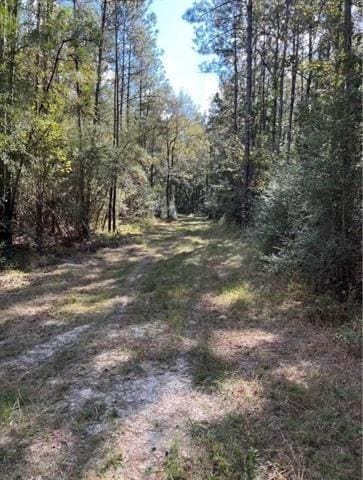 0 Henderson Rd, Covington, LA 70433 - photo 2