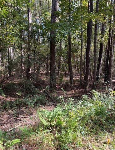 0 Henderson Rd, Covington, LA 70433 - photo 3