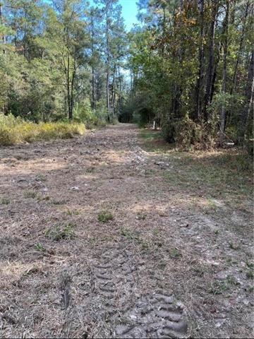 0 Henderson Rd, Covington, LA 70433 - photo 4