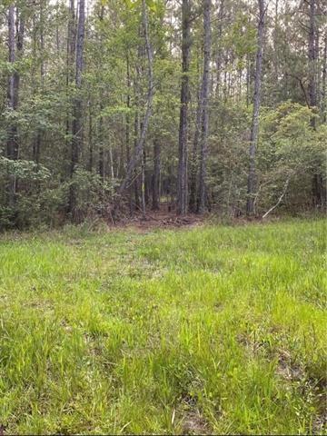 0 Henderson Rd, Covington, LA 70433 - photo 8