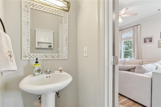 bathroom with wood-type flooring, ceiling fan, and ornamental molding