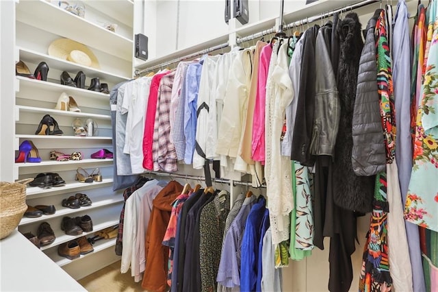 view of spacious closet