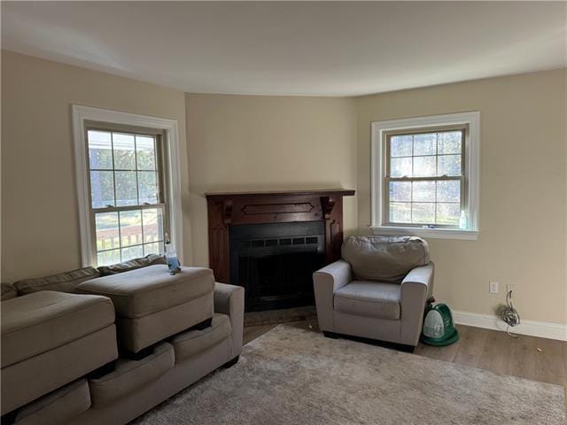 living room with a wealth of natural light and light wood-type flooring