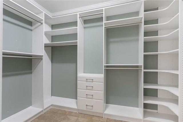 view of walk in closet