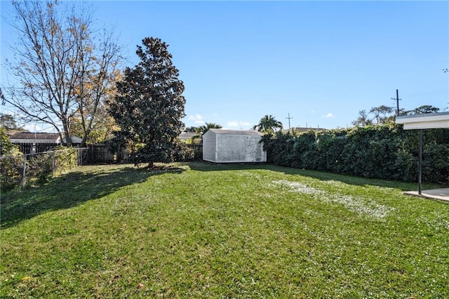 view of yard featuring a shed