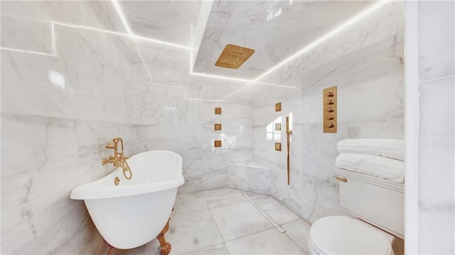 bathroom with toilet and a bathtub