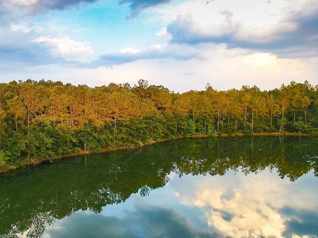 view of water feature with a view of trees