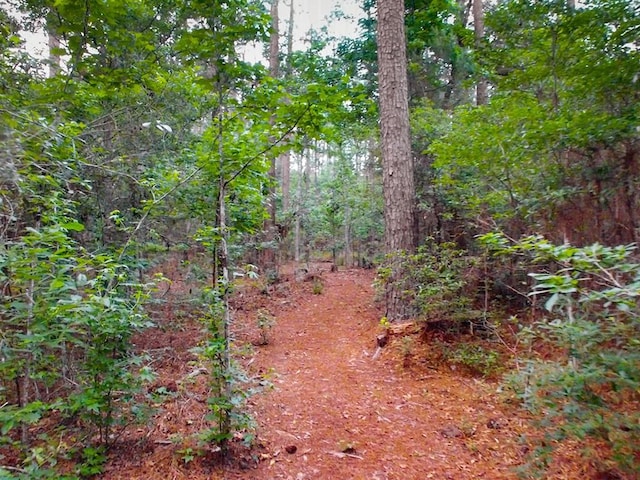 view of local wilderness with a view of trees