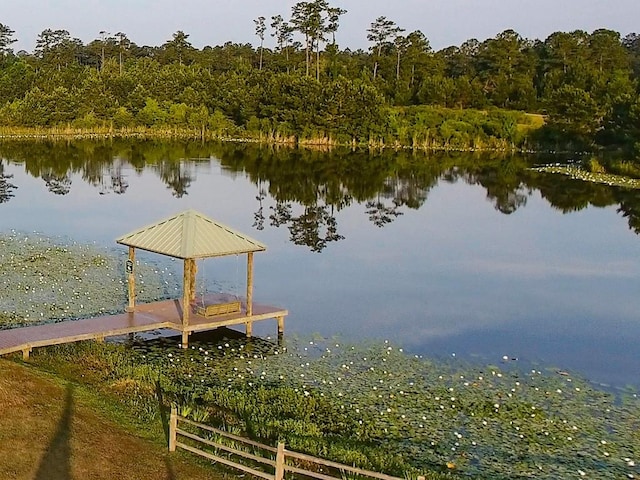 view of dock featuring a water view and a view of trees