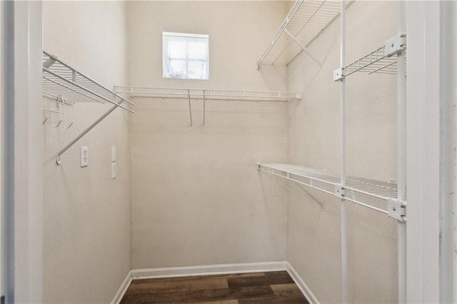 spacious closet with dark hardwood / wood-style flooring