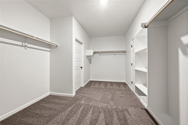 walk in closet with carpet flooring