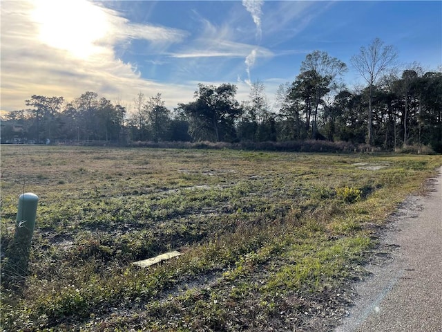 Haas Rd, Alton, LA 70460