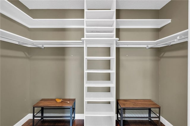 walk in closet featuring hardwood / wood-style flooring