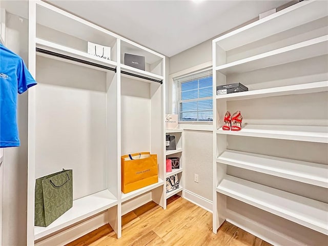 spacious closet with hardwood / wood-style floors