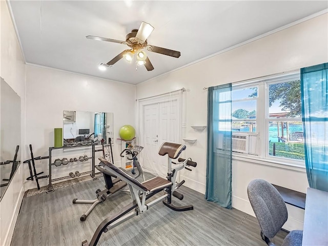 exercise area featuring crown molding, ceiling fan, and hardwood / wood-style flooring