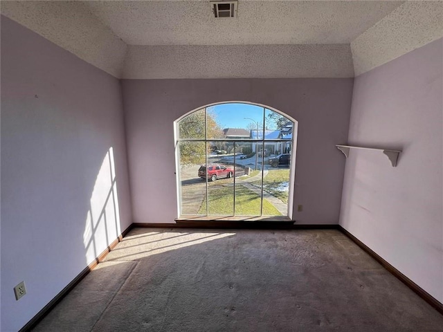 spare room featuring carpet, a healthy amount of sunlight, and a textured ceiling