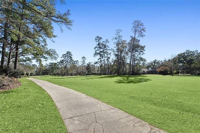 view of community with a yard