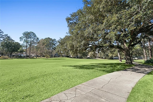 view of community with a lawn