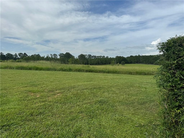 17120 Kat Kaw Rd, Franklinton, LA 70438 - view of nature with a rural view