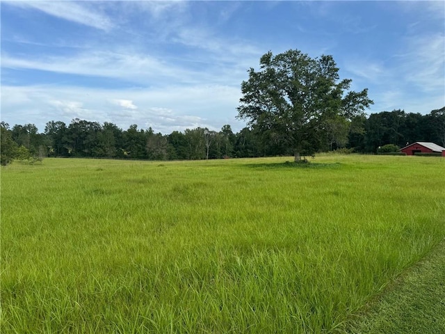 17120 Kat Kaw Rd, Franklinton, LA 70438 - view of landscape with a rural view and a forest view