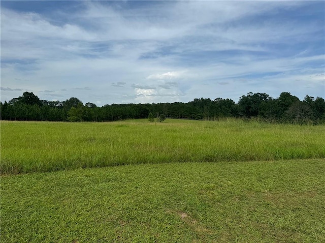 17120 Kat Kaw Rd, Franklinton, LA 70438 - view of nature