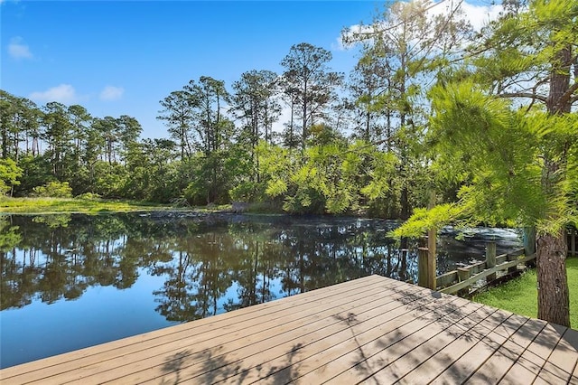 dock area featuring a water view