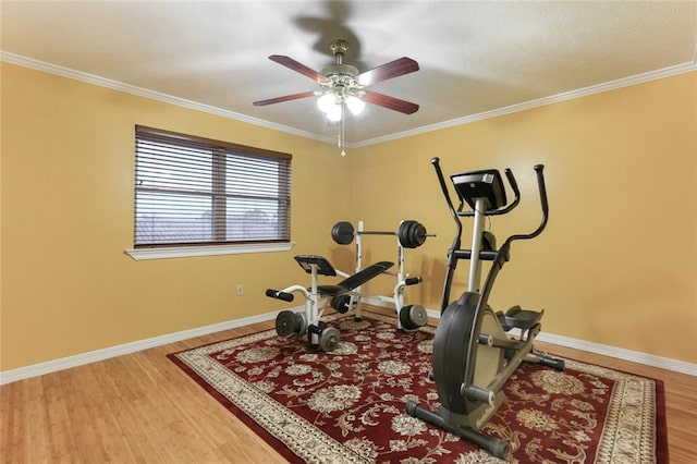 exercise room with ceiling fan, ornamental molding, and hardwood / wood-style floors