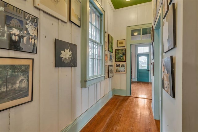 doorway featuring wood-type flooring