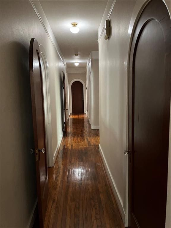 hallway featuring dark wood-type flooring