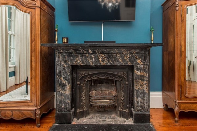 details featuring a premium fireplace and hardwood / wood-style floors