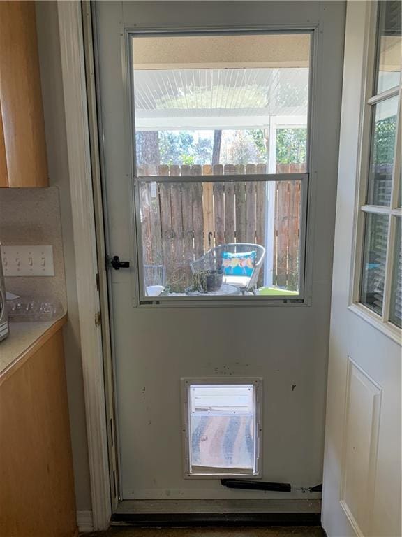 entryway featuring a healthy amount of sunlight