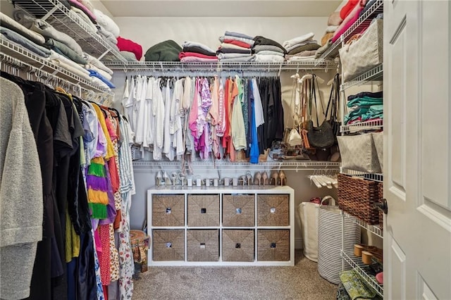 walk in closet featuring carpet